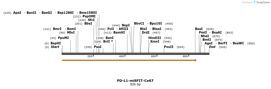 238173_map
