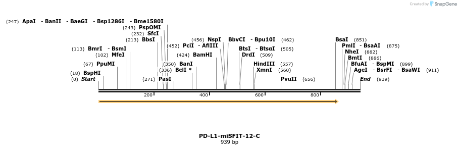 238174_map