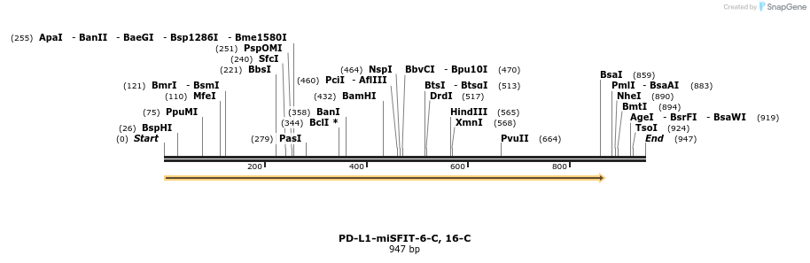 238176_map