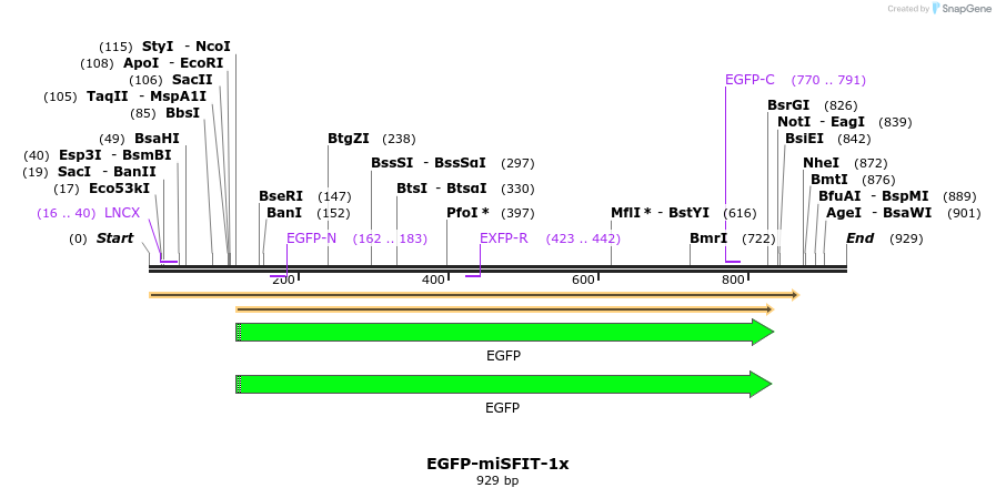 238177_map