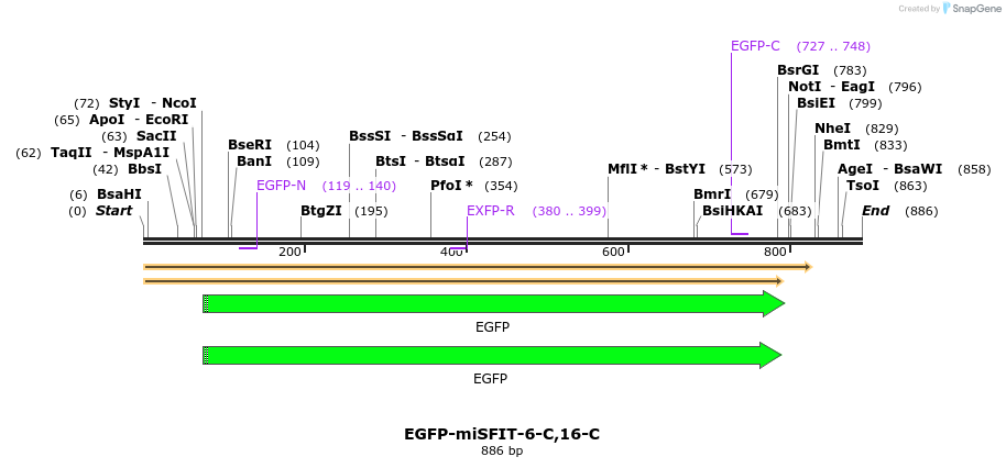 238181_map