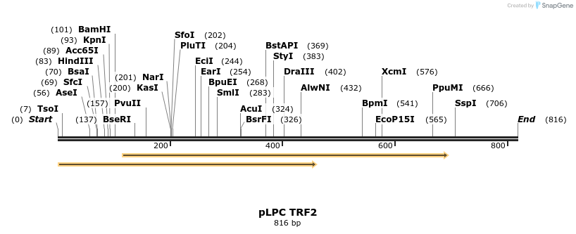 23819_map
