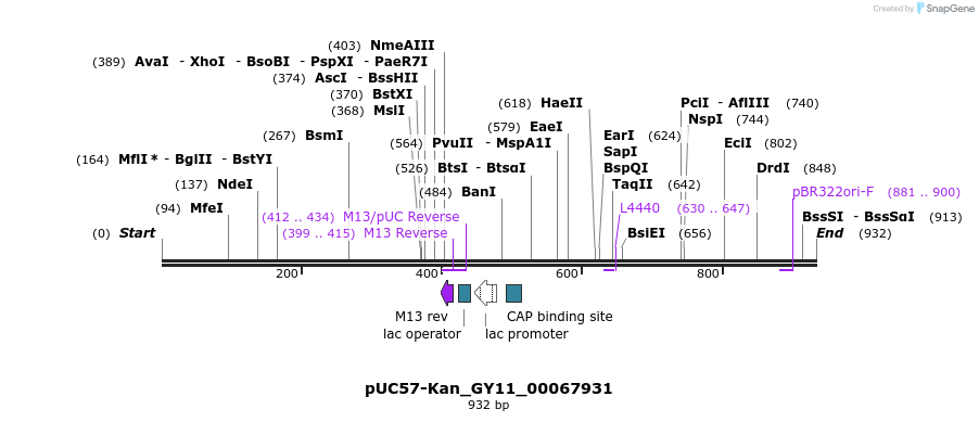 238201_map