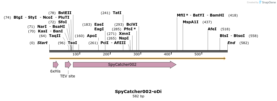 238203_map