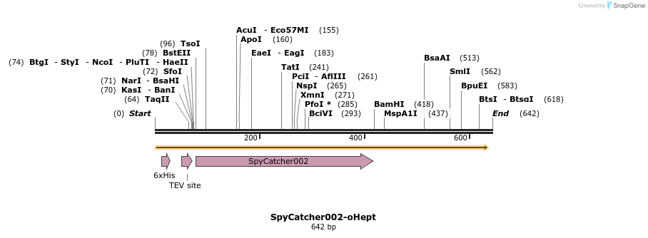 238212_map