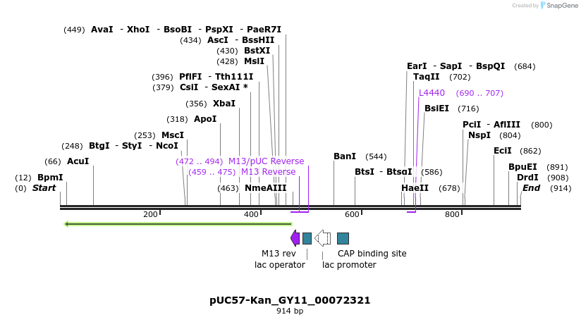 238218_map
