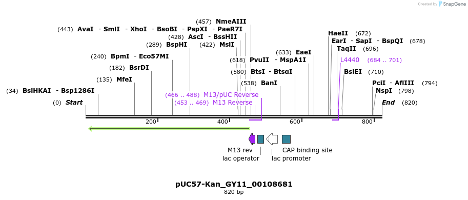 238237_map