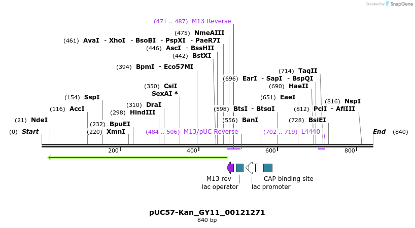 238239_map