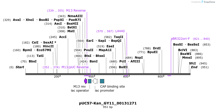 238245_map