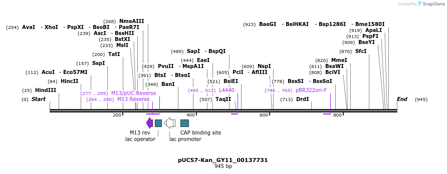 238247_map