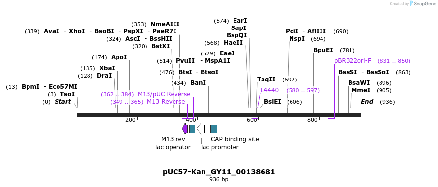 238248_map