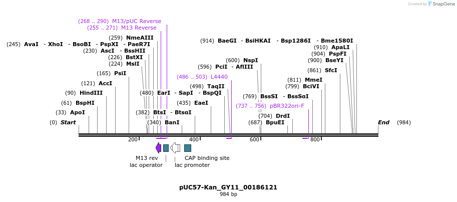 238250_map