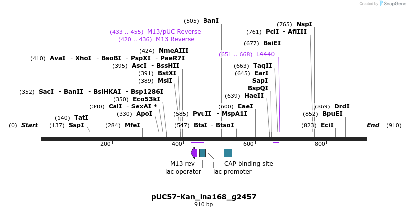 238255_map