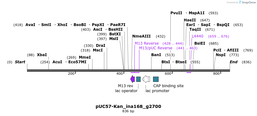 238256_map