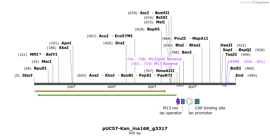 238257_map