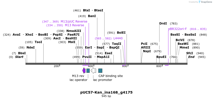 238261_map