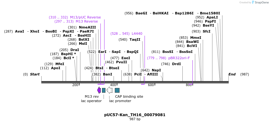 238269_map