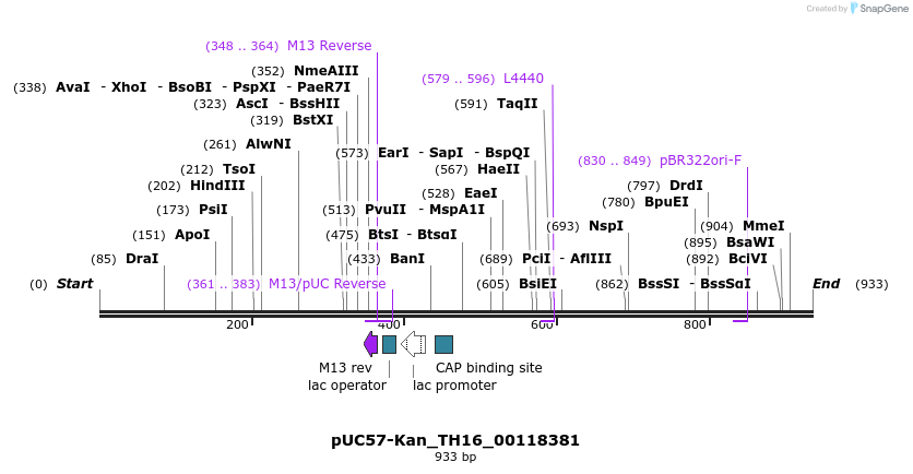 238272_map