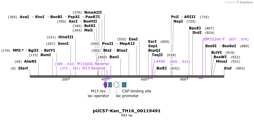 238273_map