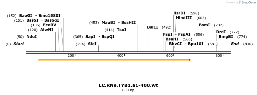 23828_map