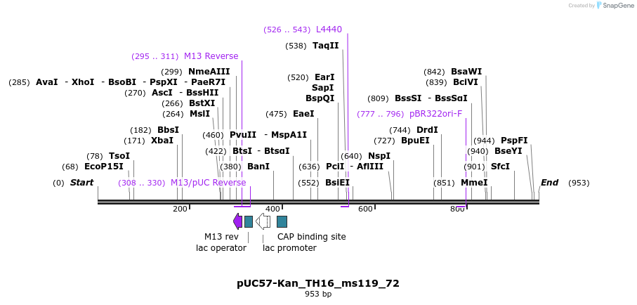 238289_map