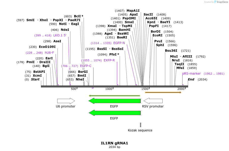 238302_map