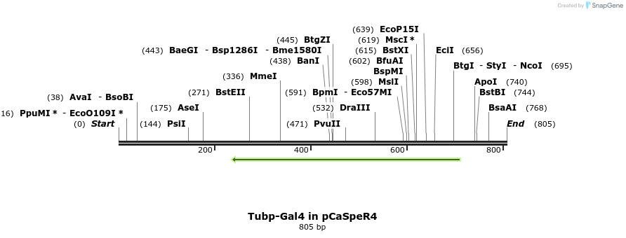 23833_map