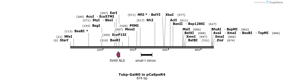 23835_map