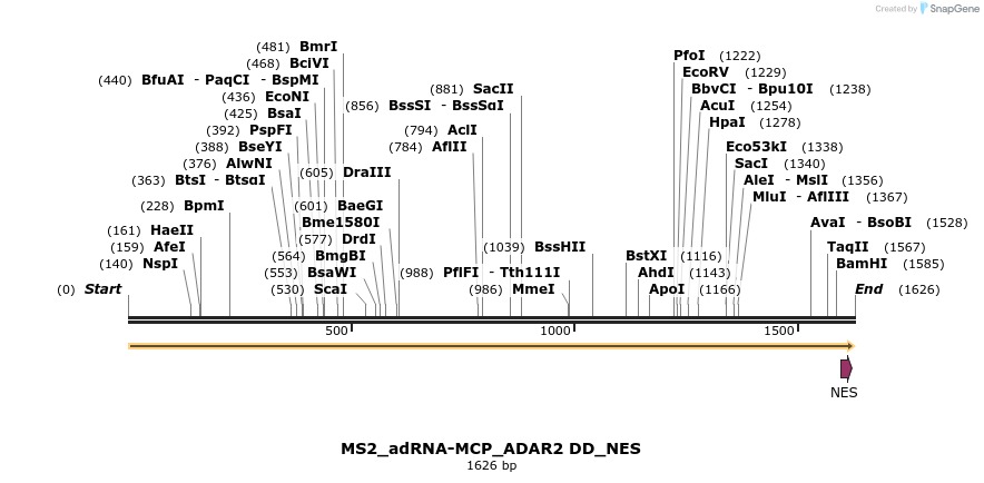 238358_map