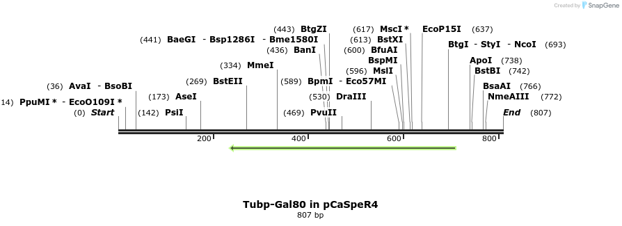 23836_map