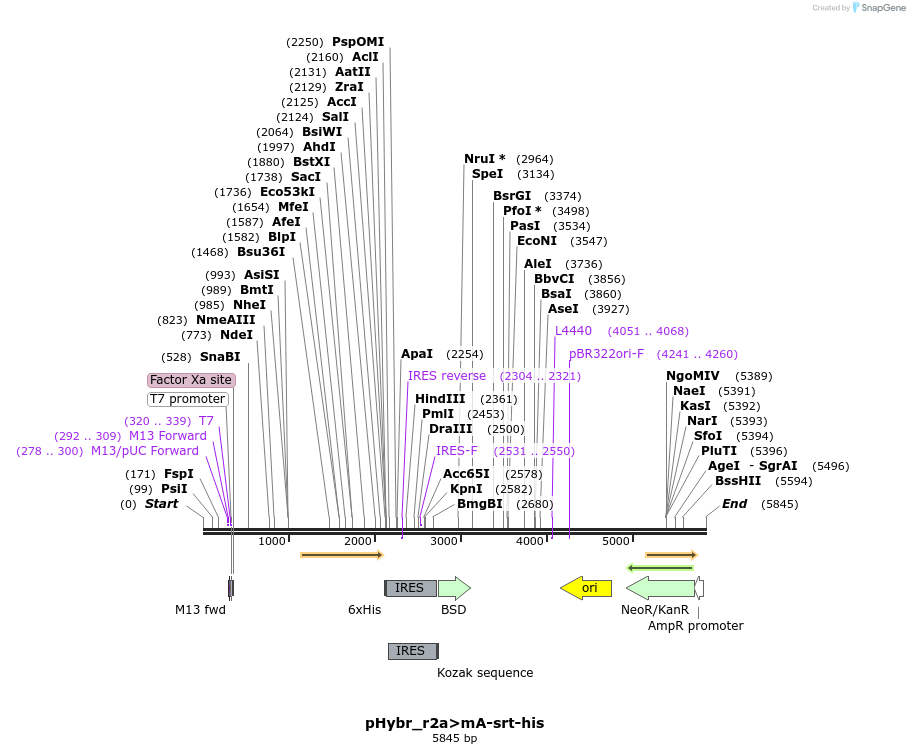 238373_map