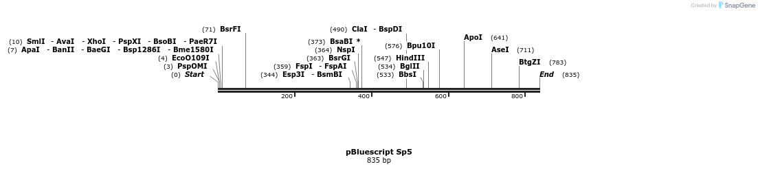 23839_map