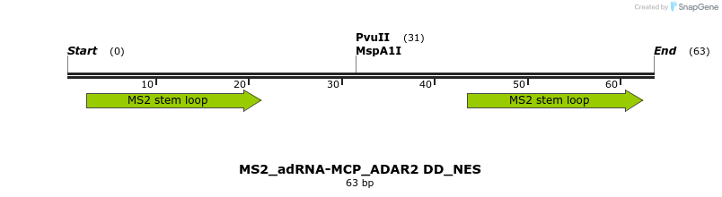 238396_map