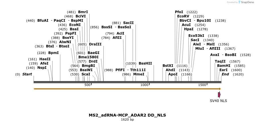 238398_map