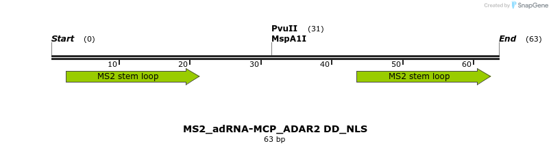 238399_map