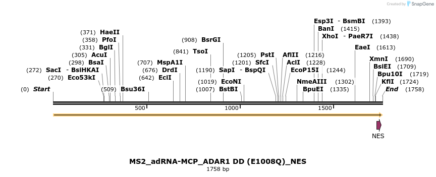 238400_map