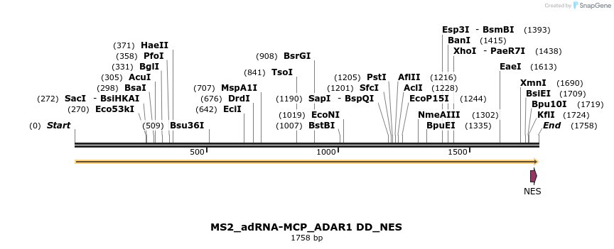 238402_map