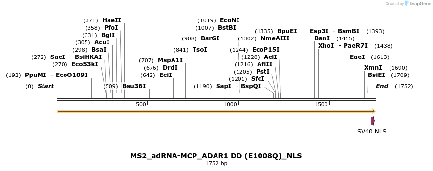 238404_map