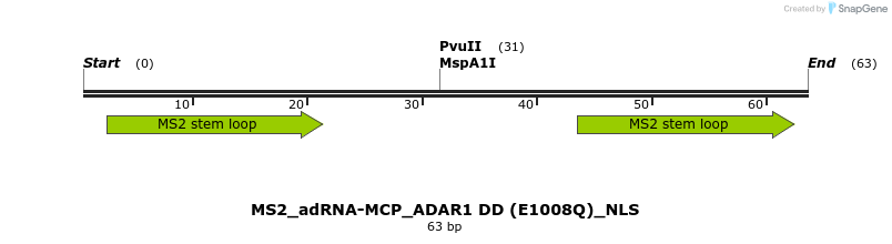238405_map
