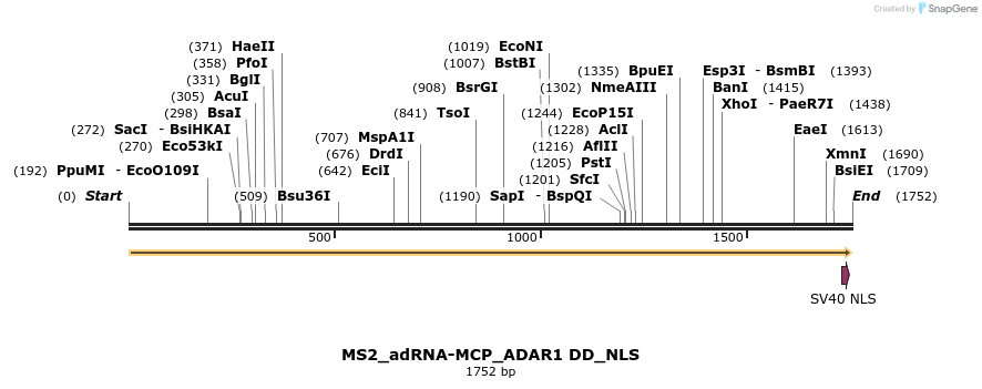 238406_map