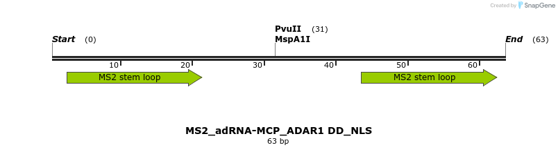 238407_map