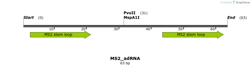 238408_map