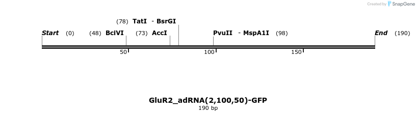 238410_map