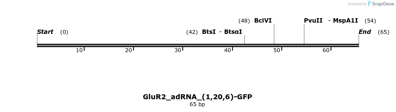 238411_map