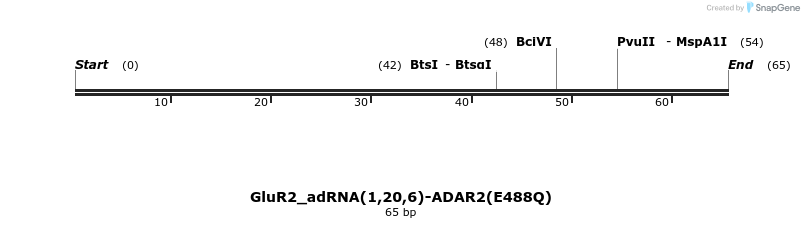238413_map
