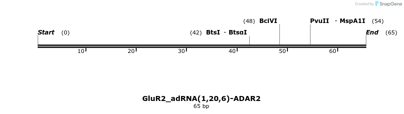 238415_map