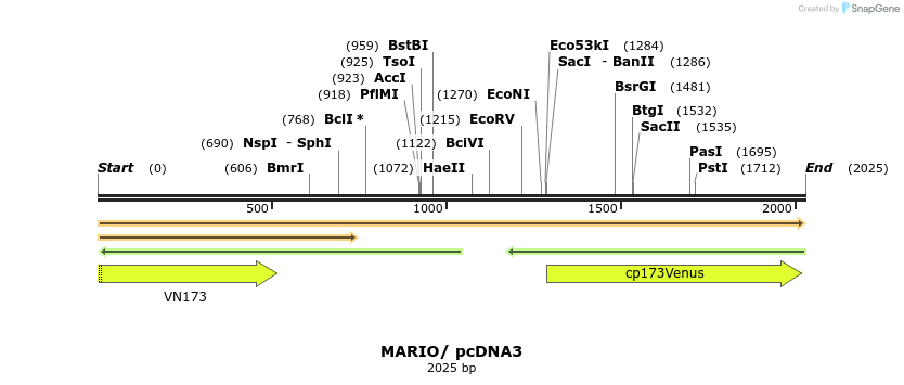238416_map