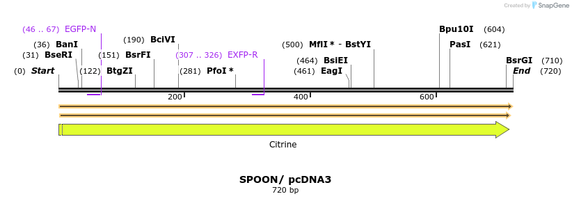 238419_map