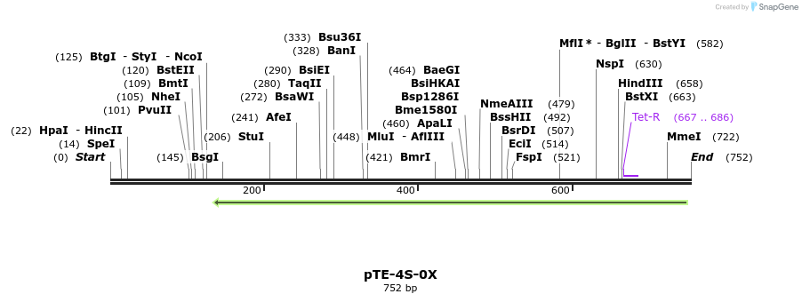 23844_map