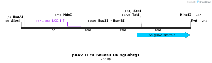238468_map
